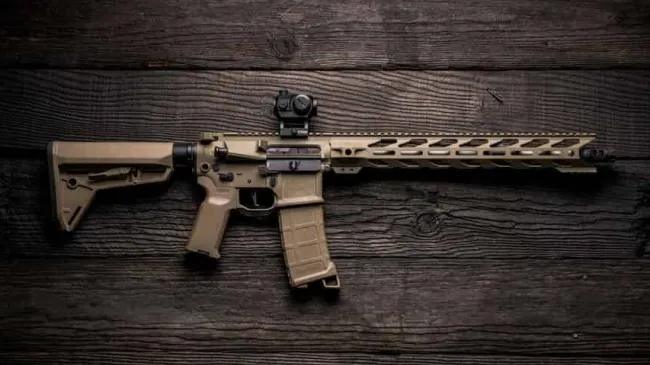 Right to Bear Arms